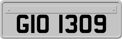 GIO1309