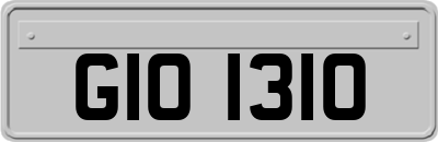 GIO1310