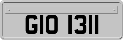 GIO1311