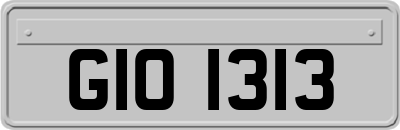 GIO1313