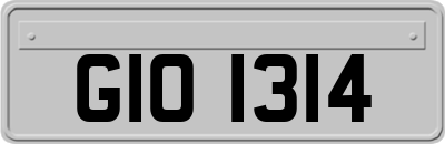 GIO1314
