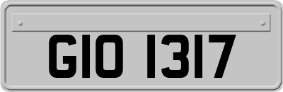 GIO1317