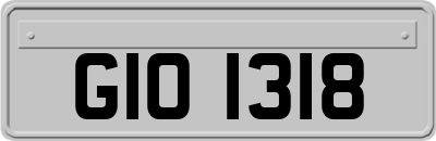 GIO1318