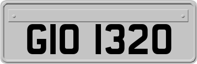 GIO1320
