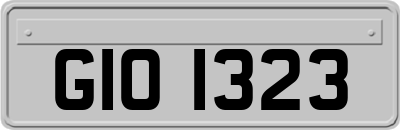 GIO1323