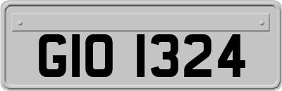 GIO1324