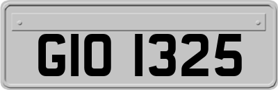 GIO1325