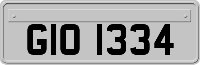 GIO1334