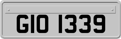 GIO1339
