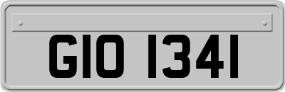 GIO1341