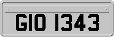 GIO1343