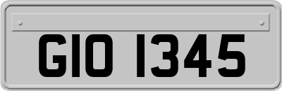 GIO1345