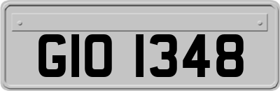 GIO1348