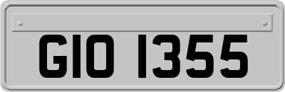 GIO1355