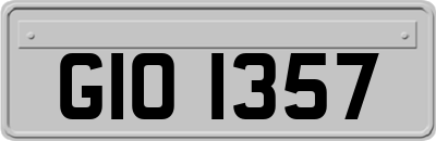 GIO1357