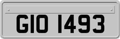 GIO1493