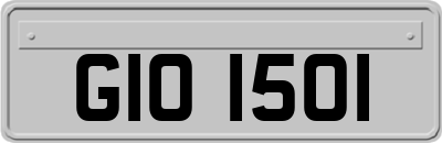 GIO1501