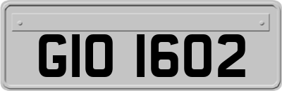 GIO1602