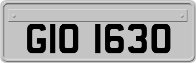 GIO1630