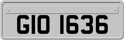 GIO1636