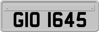 GIO1645