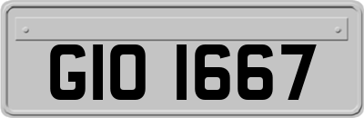 GIO1667