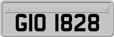 GIO1828