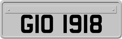 GIO1918