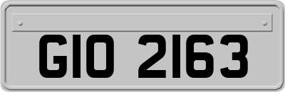 GIO2163
