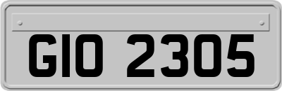 GIO2305