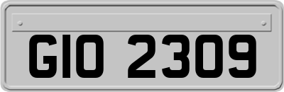 GIO2309