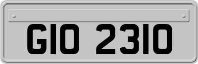 GIO2310