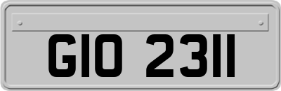 GIO2311