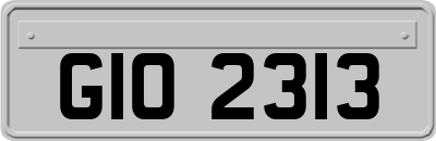 GIO2313