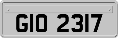 GIO2317