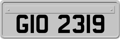 GIO2319