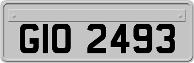 GIO2493