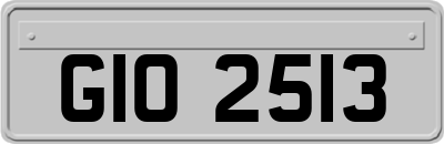 GIO2513