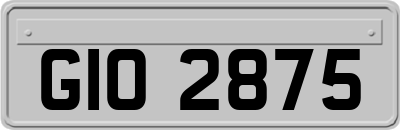 GIO2875