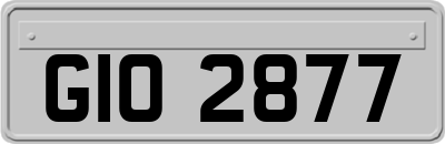 GIO2877