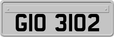 GIO3102