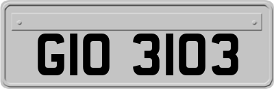 GIO3103