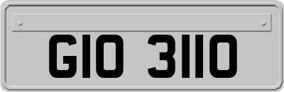 GIO3110