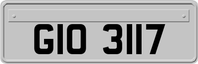 GIO3117