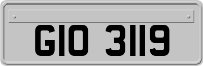 GIO3119