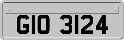 GIO3124