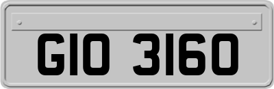 GIO3160