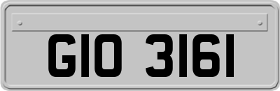 GIO3161