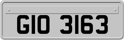 GIO3163