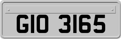 GIO3165